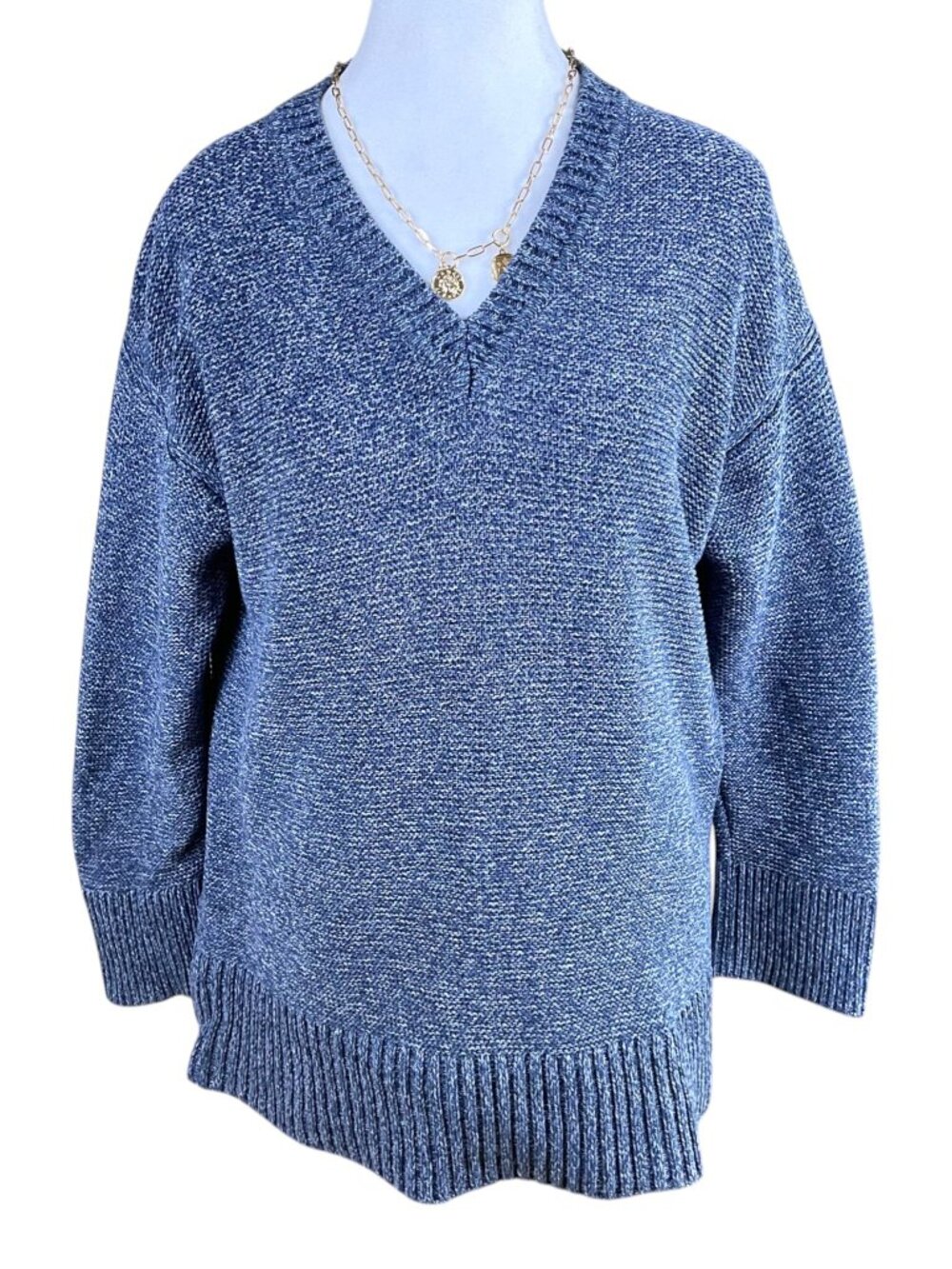 Everlane Sweater Cotton V-Neck Blue Marled (S)